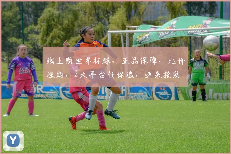 线上购世界杯球，正品保障，比价选购，2大平台任你选，速来抢购