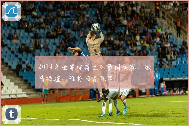 2014年世界杯荷兰队勇闯决赛，激情碰撞，谁将问鼎冠军