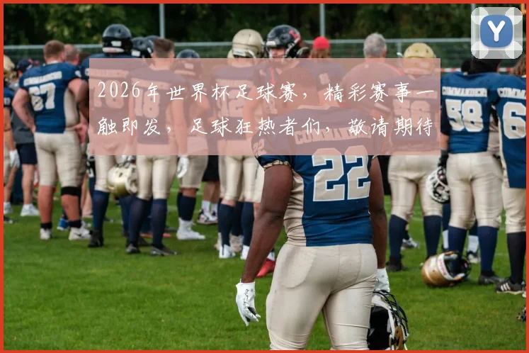 2026年世界杯足球赛，精彩赛事一触即发，足球狂热者们，敬请期待