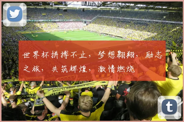 世界杯拼搏不止，梦想翱翔，励志之旅，共筑辉煌，激情燃烧